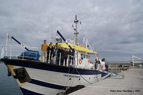 El IEO, la Universitat de les Illes Balears y el Gobierno Balear colaboran en la formación de futuros oceanógrafos