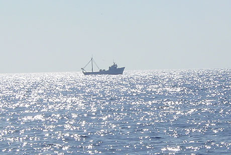 Barco faenando en aguas de Baleares