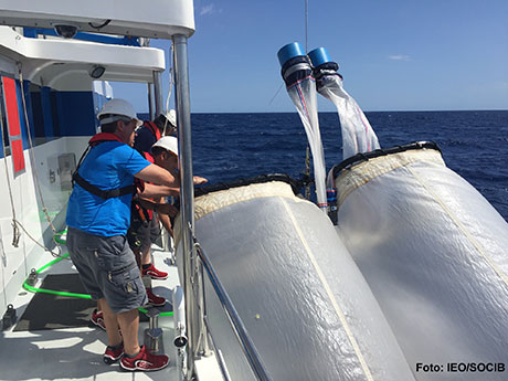 Investigadores del IEO han liderado una campaña para el estudio de la ecología larvaria del atún rojo en el Mar Balear