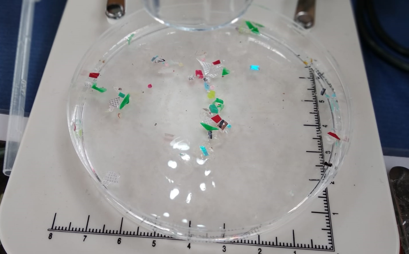 Fragmentos de plástico recogidos durante un muestreo