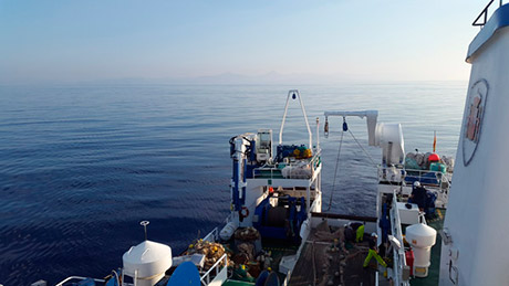 El IEO lidera una campaña para evaluar ecosistemas marinos de Mallorca y Menorca