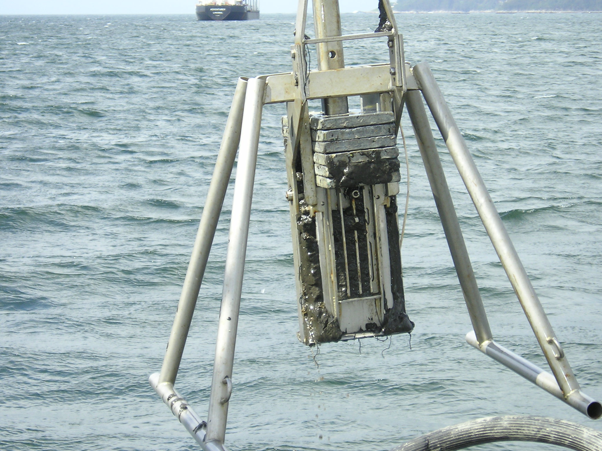 Investigadoras del Centro Oceanográfico de Vigo presentan un completo estudio que analiza más de ...