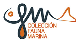 Logo Colección Fauna Marina