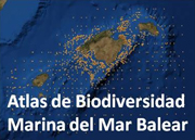 Atla Biodiversidad Mar de Balear