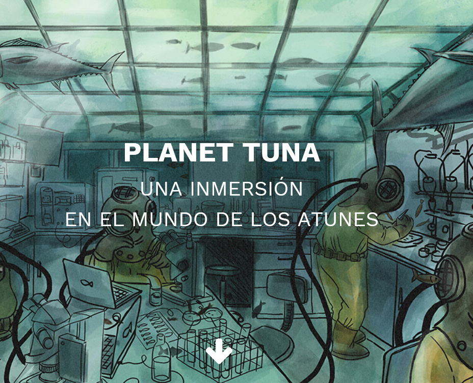 Planet Tuna una inmersión en el mundo de los atunes