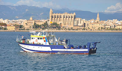 Buque Francisco de Paula Navarro