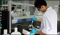 Grupos de Investigación