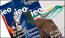 Revista IEO