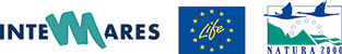 Intemares