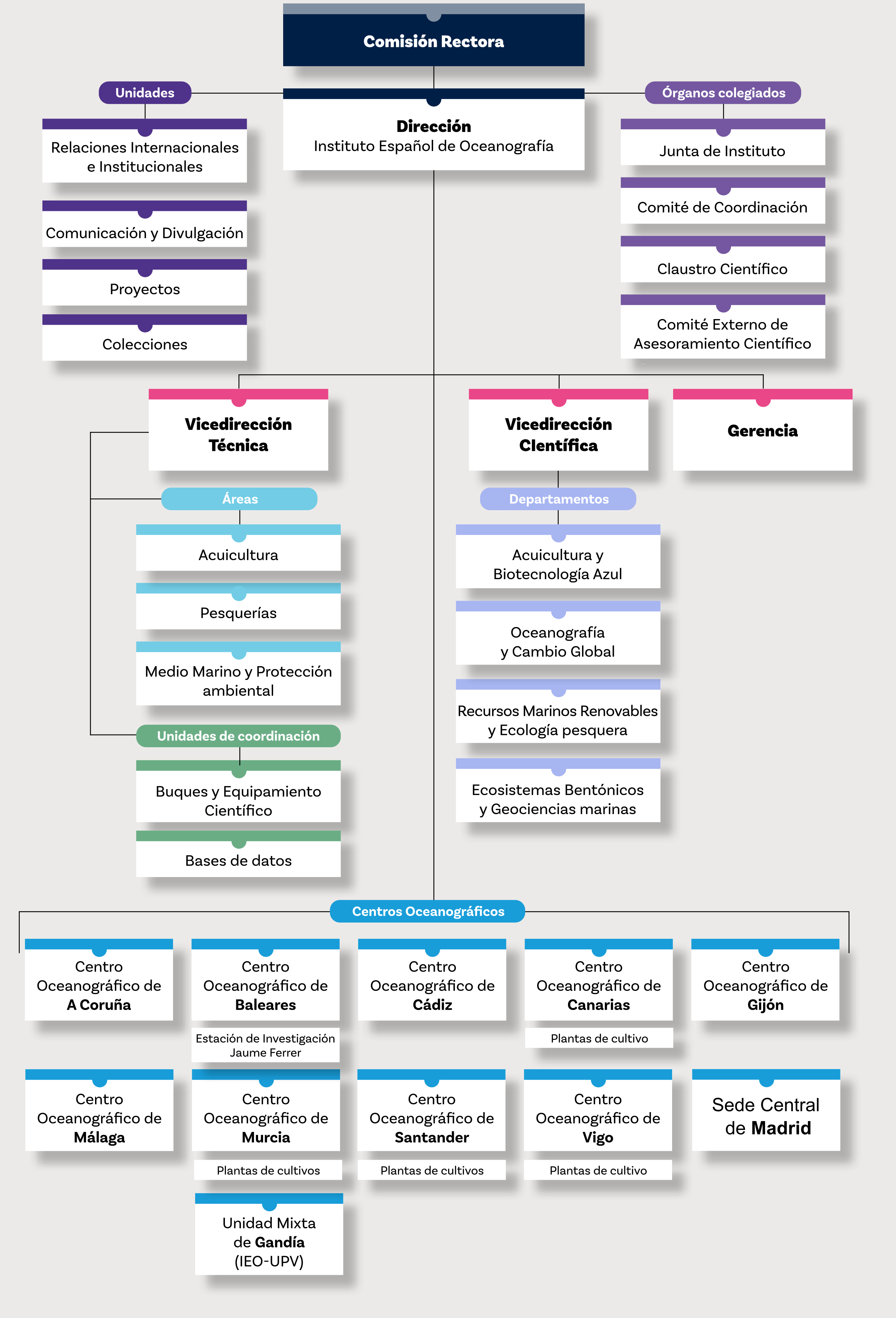 Organigrama del IEO