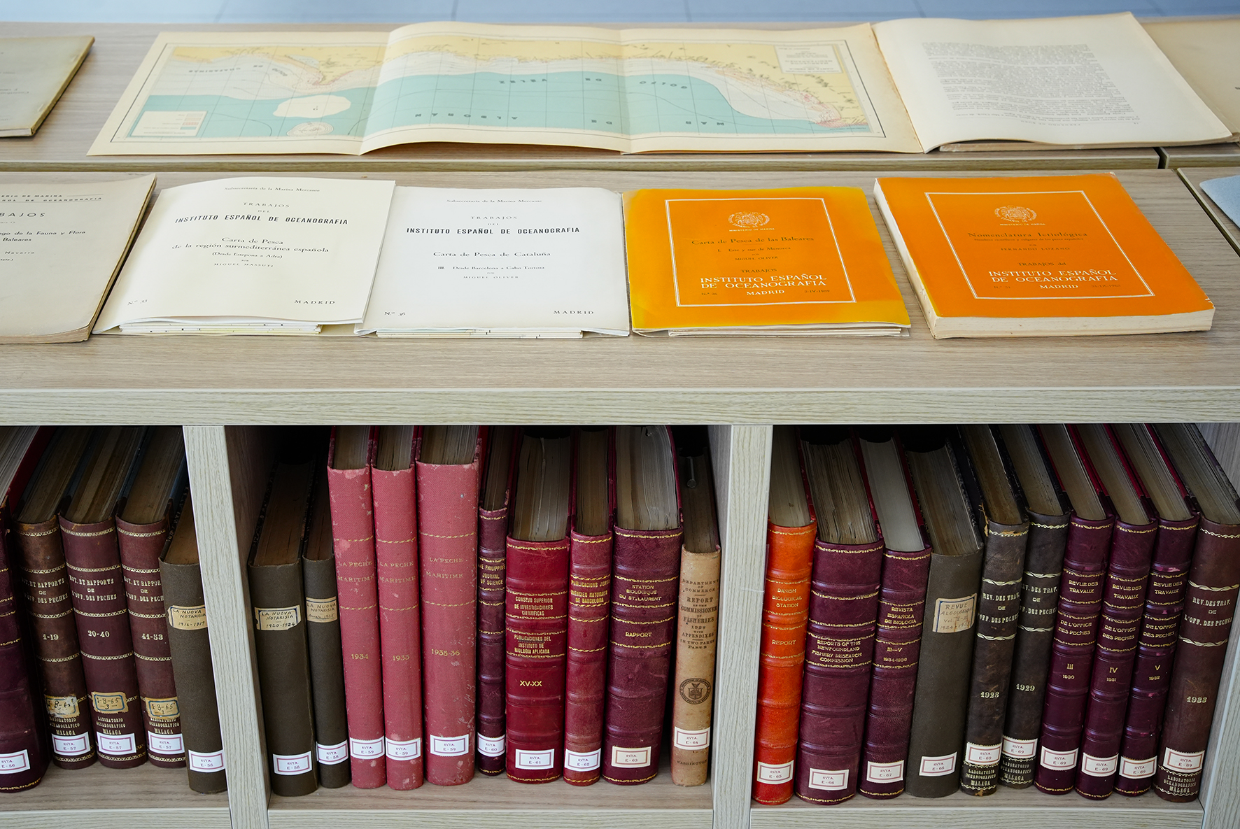 Muestra de algunos ejemplares del fondo histórico del IEO que acaban de digitalizarse. © Ainara Martínez (IEO, CSIC)
