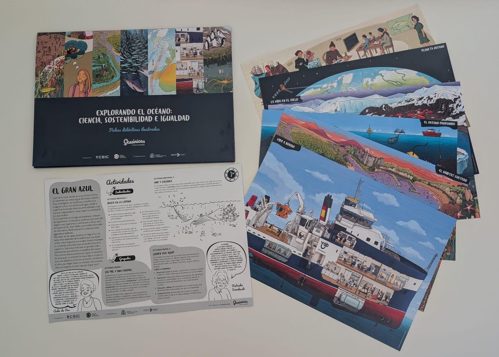 Estas láminas, diseñadas para primaria, secundaria y bachillerato, permiten al alumnado descubrir el océano desde una mirada integradora que combina ciencia, conservación e igualdad de género. Estas láminas, diseñadas para primaria, secundaria y bachillerato, permiten al alumnado descubrir el océano desde una mirada integradora que combina ciencia, conservación e igualdad de género.