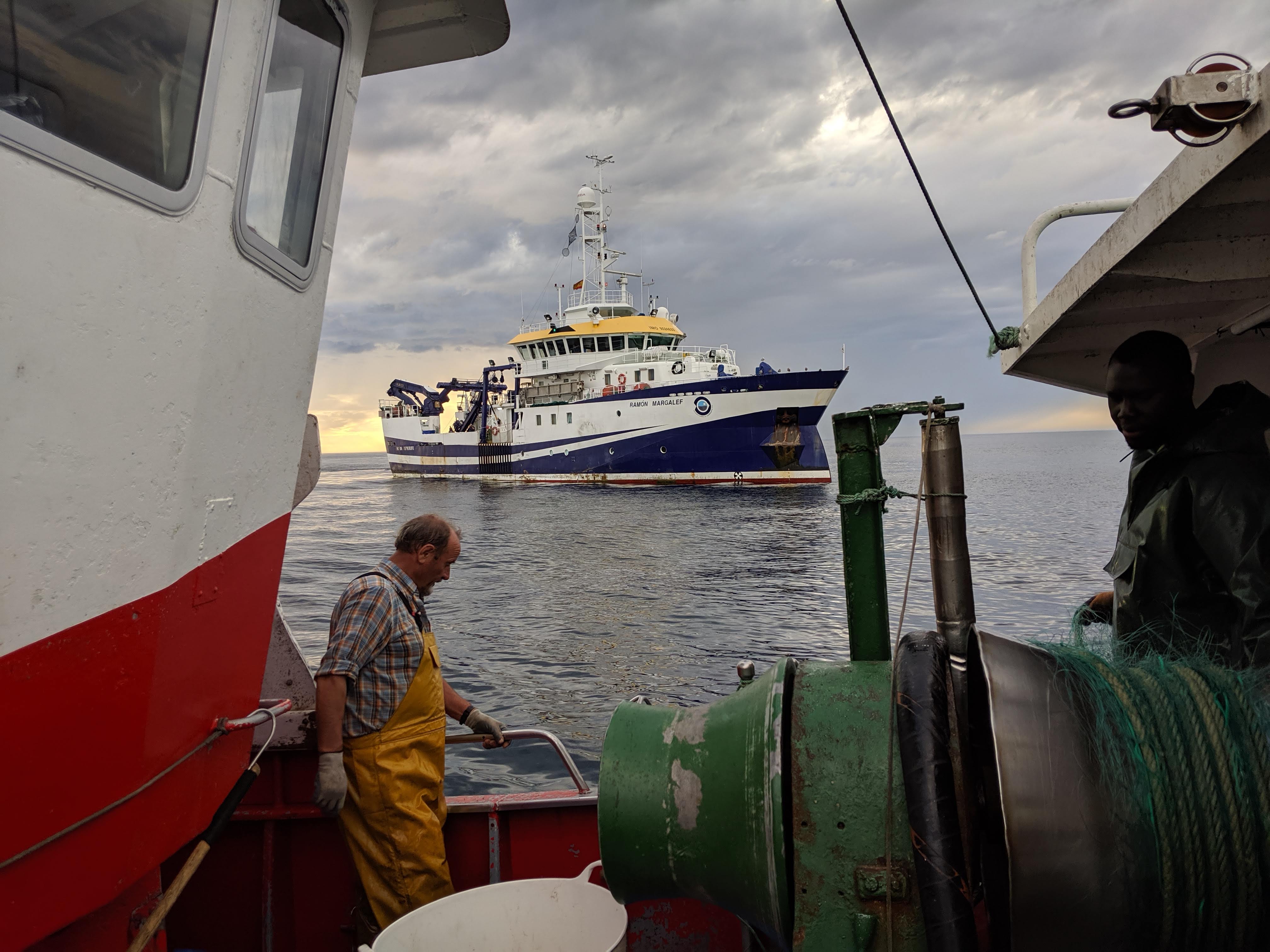 Personal del IEO estudia el impacto de las artes estáticas con la colaboración del sector. Foto: José Manuel G. Irusta, IEO-CSIC
