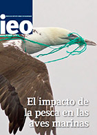 Revista 26