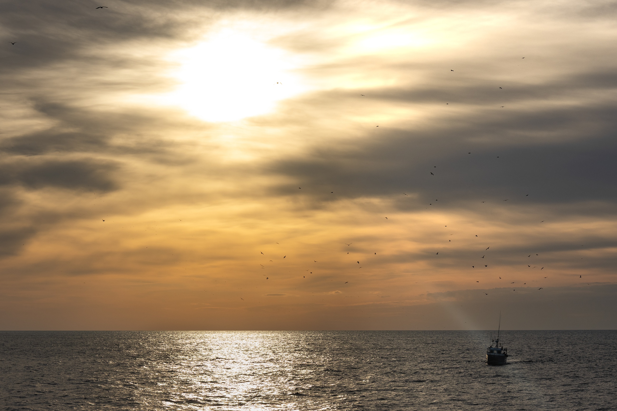 El proyecto IMPALHA busca mejorar la comprensión de las interacciones entre estos artes de pesca y los hábitats bentónicos, aportando información útil para la gestión marina El proyecto IMPALHA busca mejorar la comprensión de las interacciones entre estos artes de pesca y los hábitats bentónicos, aportando información útil para la gestión marina