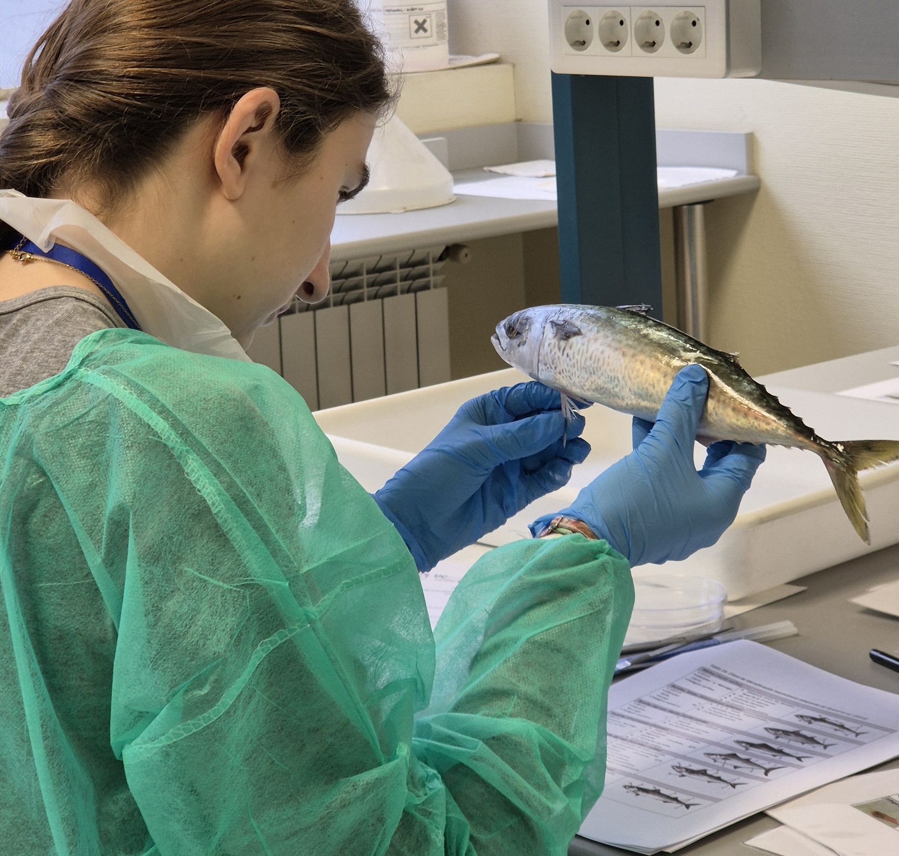 El Centro Oceanográfico de Santander (IEO-CSIC) participó en el diseño y desarrollo de una de las pruebas prácticas | IEO-CSIC