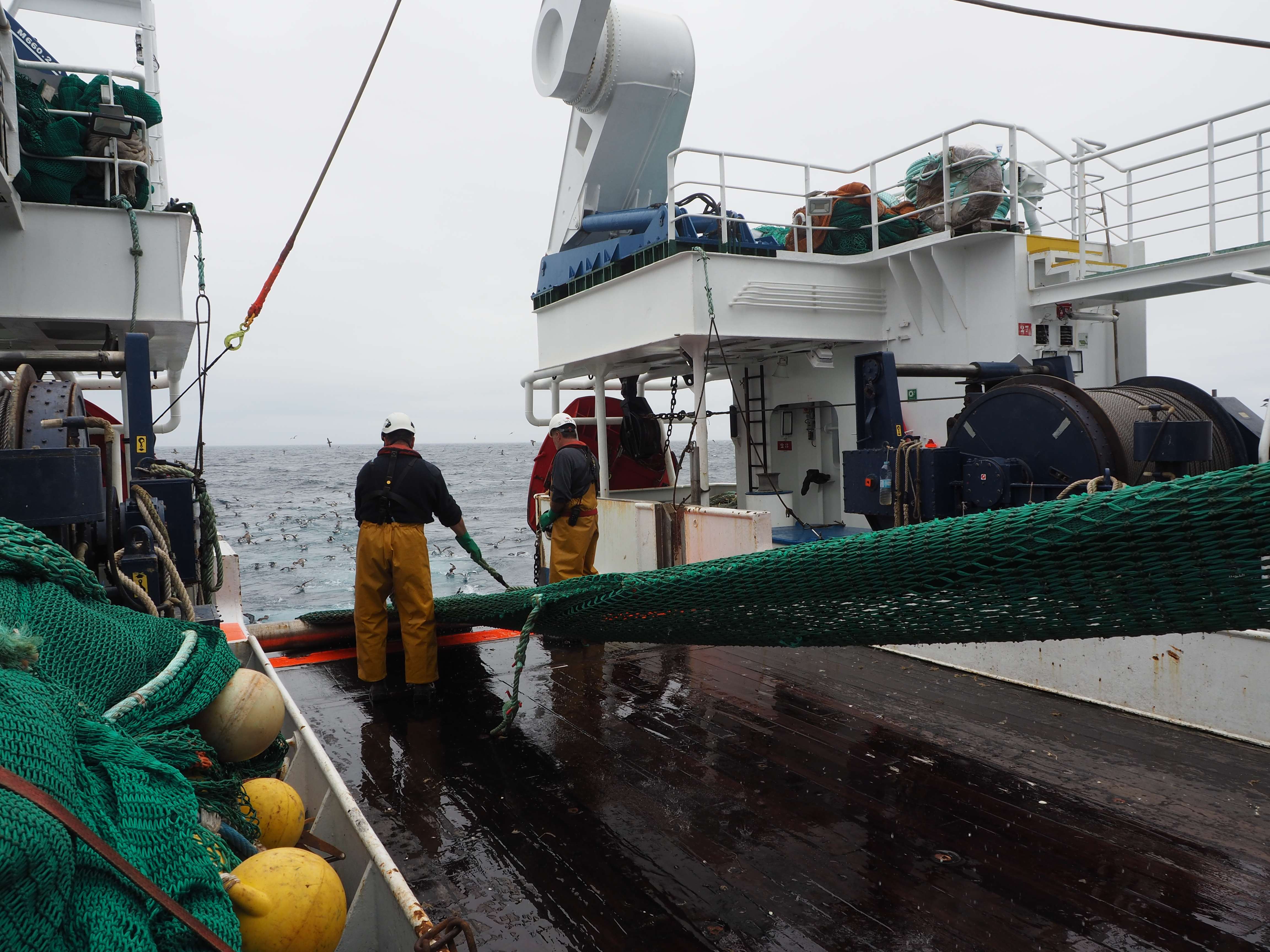 Maniobra de la virada del aparejo tras finalizar la pesca ©José Luis del Río (IEO, CSIC)