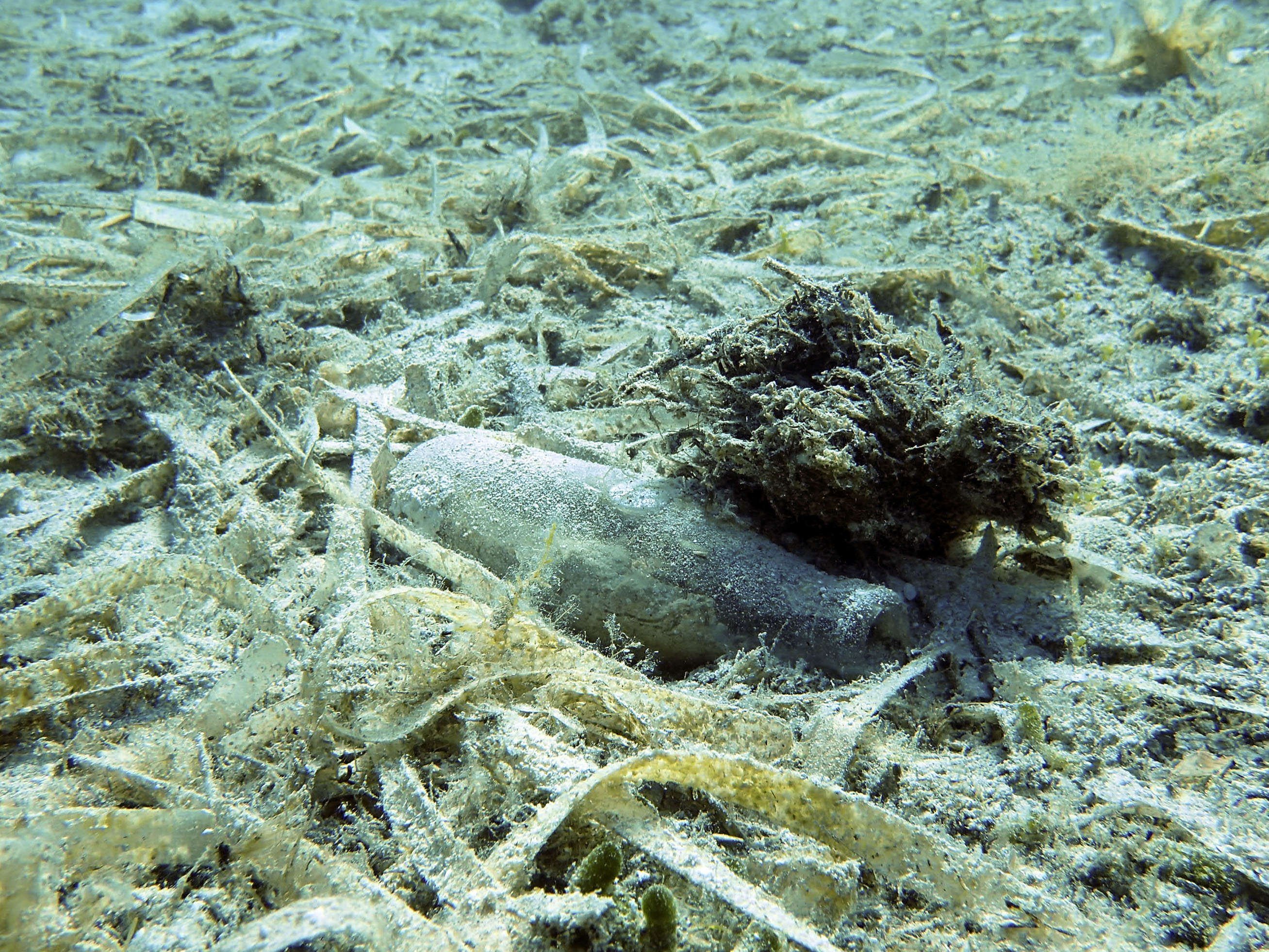 El proyecto comienza con una estrategia coordinada para abordar los principales retos ambientales del Mediterráneo © MIRAMAR Project. Centro Oceanográfico de Illes Balears (IEO-CSIC) El proyecto comienza con una estrategia coordinada para abordar los principales retos ambientales del Mediterráneo © MIRAMAR Project. Centro Oceanográfico de Illes Balears (IEO-CSIC)