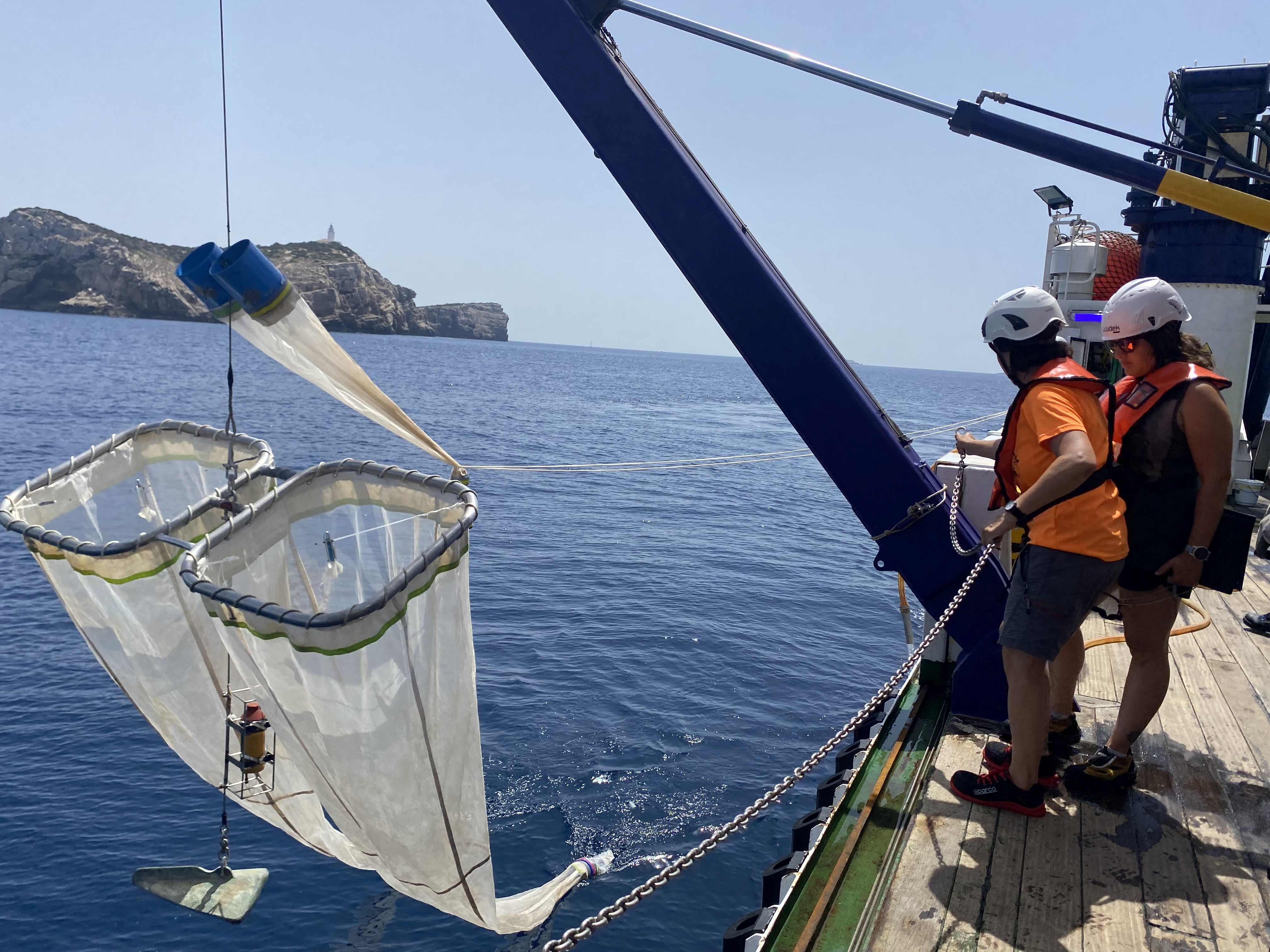TUNIBAL busca desarrollar herramientas más precisas para estimar la abundancia real de atún rojo (Thunnus thynnus) en el océano Atlántico oriental y el mar Mediterráneo © Asvin Pérez Torres. Centro Oceanográfico de Baleares (IEO, CSIC)