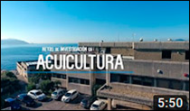 IEO VIGO ACUICULTURA