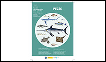 Fichas Especies Marinas