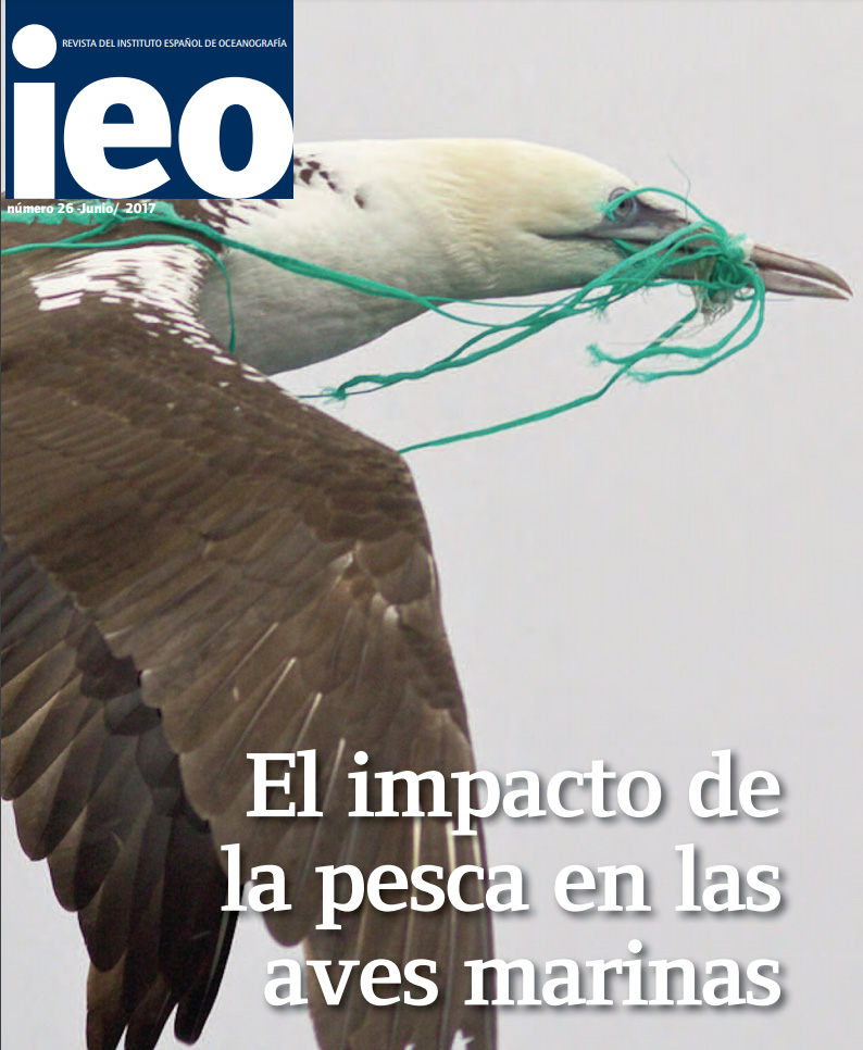 Revista IEO