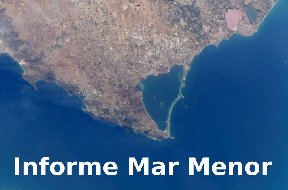 Informe Mar Menor julio 2020