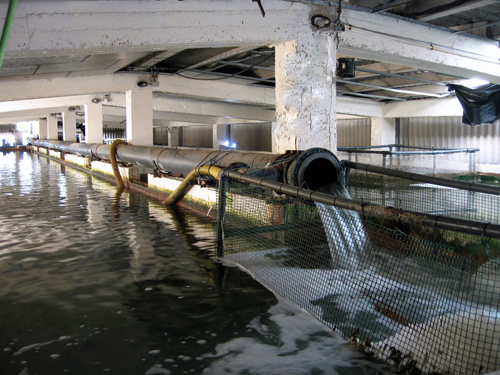 entrada_agua_de_mar