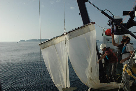 Investigadores capturando larvas de túnidos a bordo del Ramón Margalef en el mar Balear