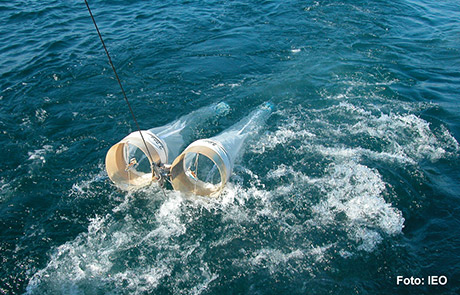 Científicos del IEO han estudiado las variaciones del zooplancton en la plataforma gallega durante 17 años