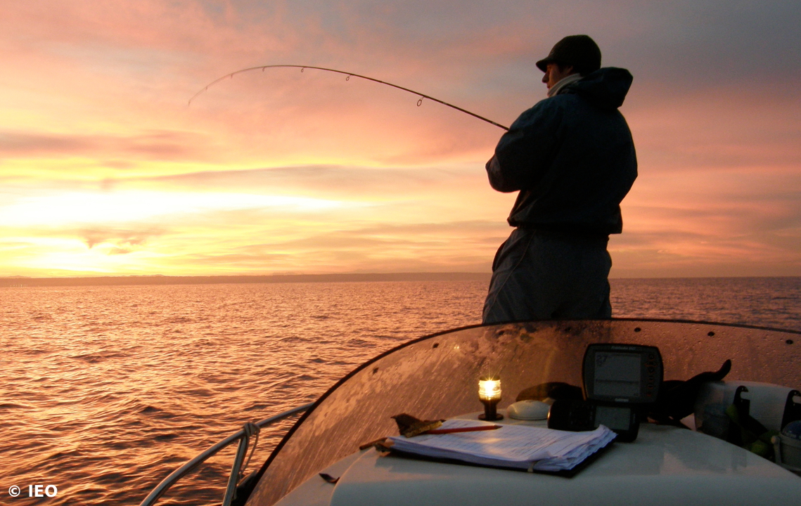 Pescador recreativo pescando calmares de potera al amanecer / Foto: IEO