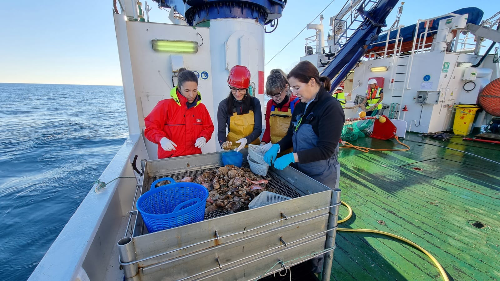 Investigadoras del IEO procesan a bordo las muestras recogidas mediante un patín epibentónico