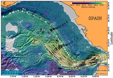 Cartografía de detalle del golfo de Cádiz sobre la que se representa, con líneas negras, la velocidad de la corriente y, en tonos de azul a amarillo, la salinidad en el fondo