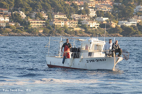 El IEO y pescadores de Baleares colaboran en la conservación de los ecosistemas marinos