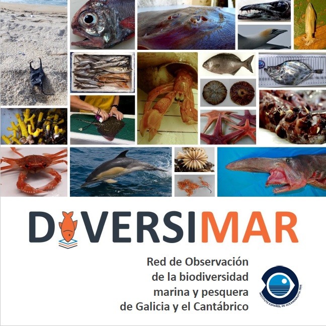 Logo e imágenes del proyecto DIVERSIMAR