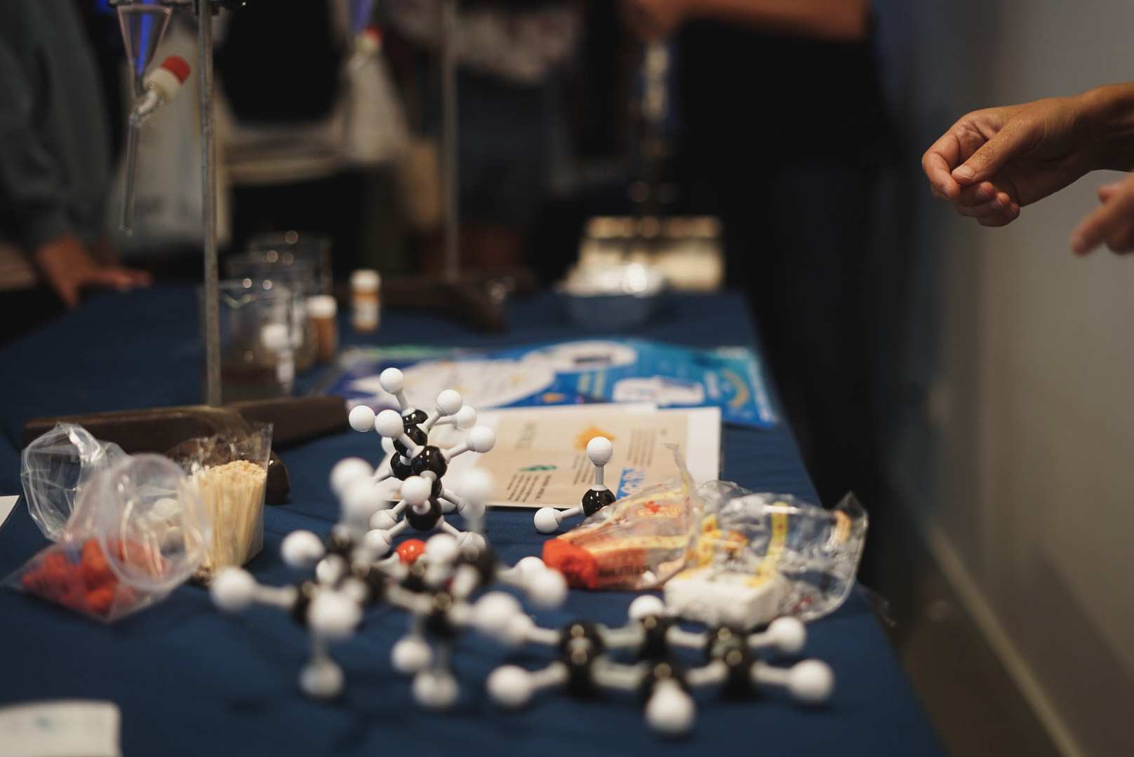 Taller realizado por el Instituto Español de Oceanografía durante una edición anterior de la Noche Europea de los Investigadores