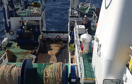 Aparejo de pesca pelágico a bordo del Miguel Oliver