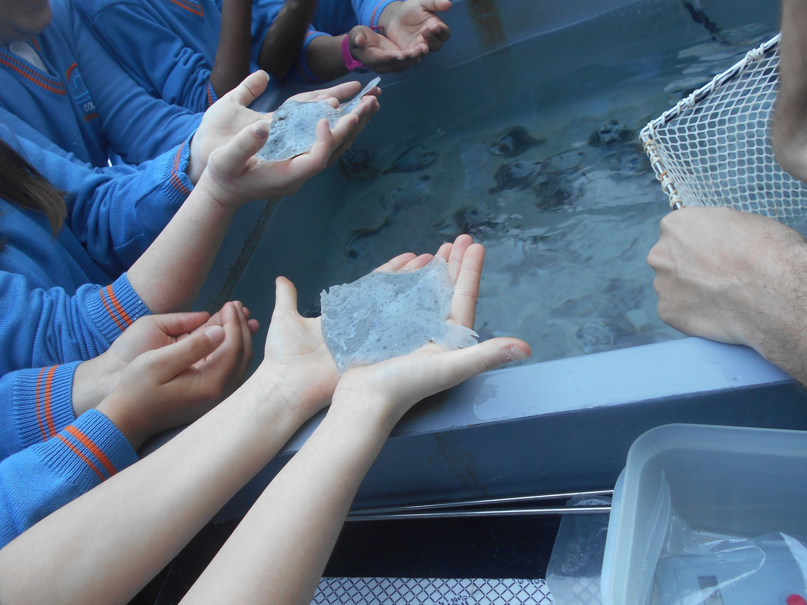 Un grupo de escolares visita una de las plantas de cultivo del Instituto Español de Oceanografía