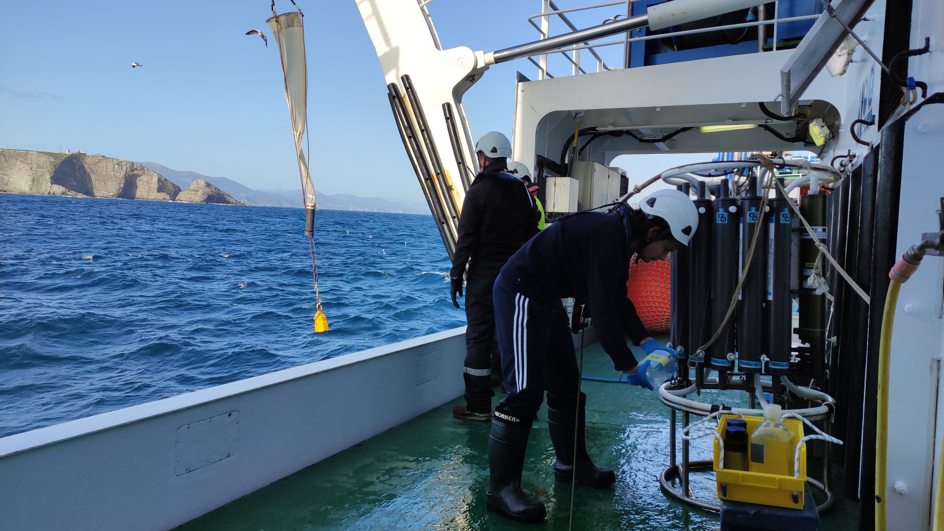 Un equipo científico del IEO estudiará las conexiones tróficas entre sistemas costeros y oceánico...