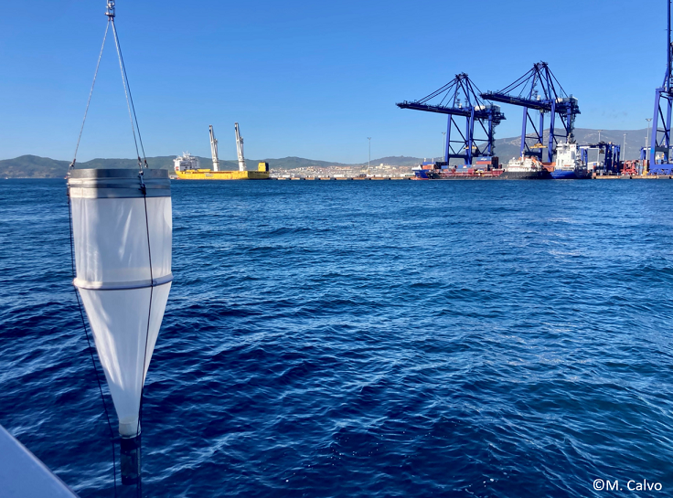 Muestreo de zooplancton en el puerto de Algeciras. Foto: Matías Calvo | IEO-CSIC