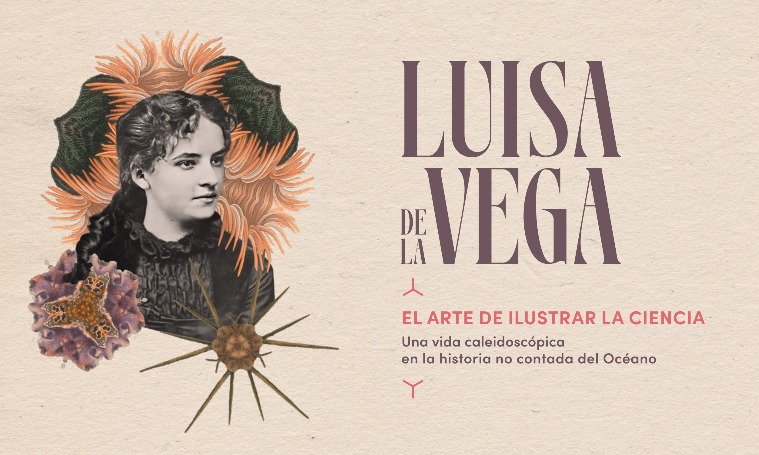 La exposición ‘Luisa de la Vega: el arte de ilustrar la ciencia–Una vida caleidoscópica en la historia no contada del Océano’ podrá visitarse de forma gratuita en la Sala Naos del MMC hasta el 27 de septiembre de 2026.