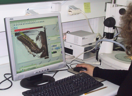 Taller-internacional-atun-rojo-santander Taller-internacional-atun-rojo-santander