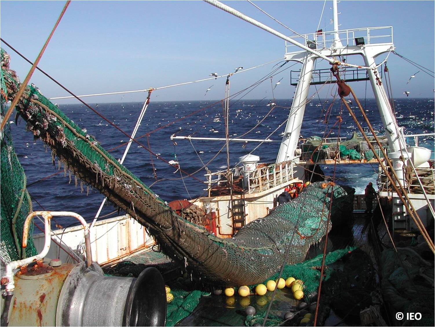 Buque perteneciente a la flota pesquera gallega
