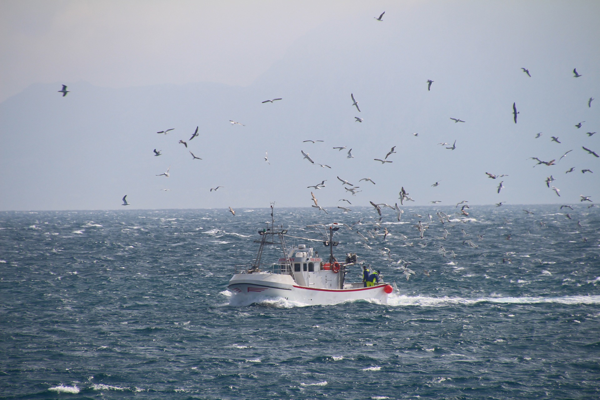 Pesquero artesanal en aguas del Mediterráneo / Imagen de Astrid Schmid en Pixabay
