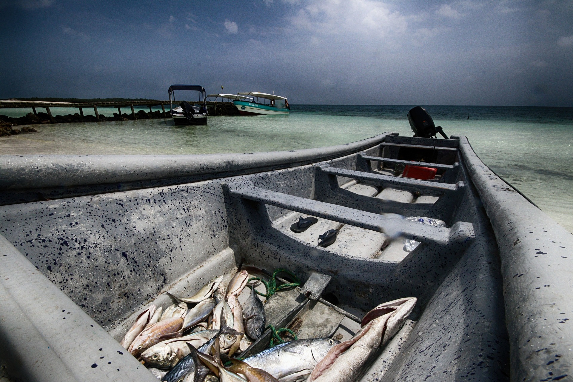 INVIPESCA-FORT incluye una programación plurianual de actividades para identificar y establecer las prioridades científico-pesqueras en la región a través de la capacitación de técnicos e investigadores en evaluación de pesquerías artesanales. Foto: Mathieu Vivier / Pixabay