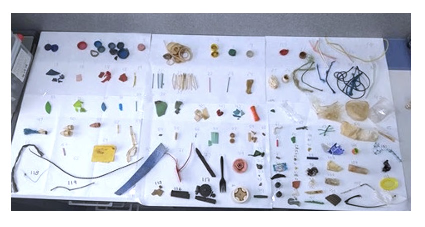 Cribado e identificación de características de los plásticos recogidos en la playa de Portman