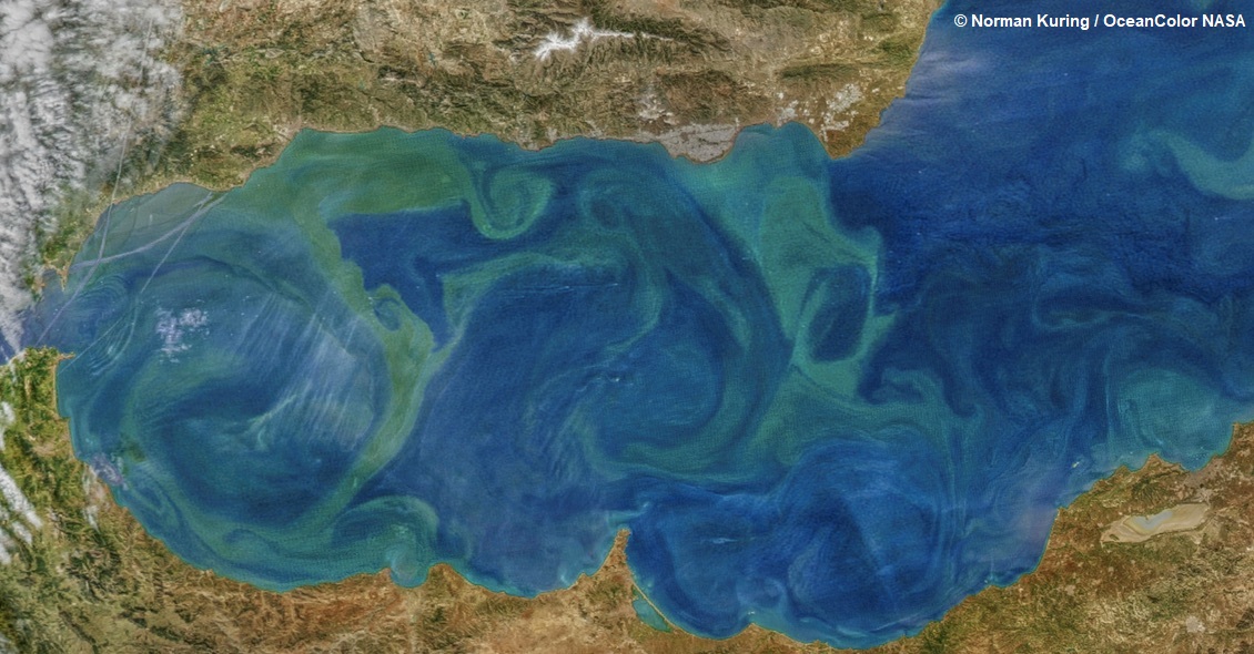 Imágen del sensor MODIS del satélite Aqua de la NASA que muestra el fitoplancton en el mar de Alborán.