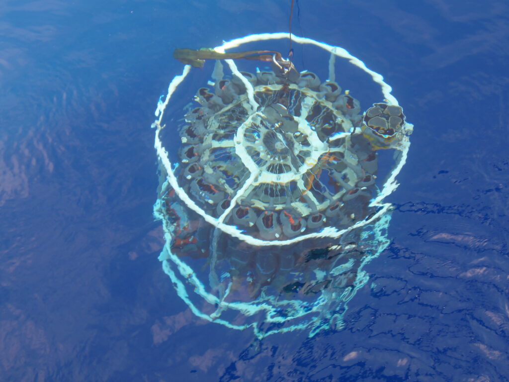 La roseta oceanográfica y CTD es un equipo científico equipado a bordo para la toma de muestras de aguas y variables físicoquímicas del agua © Centro Oceanográfico de Baleares (IEO-CSIC)