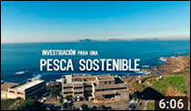 IEO VIGO PESCA - Investigación para una Pesca Sostenible