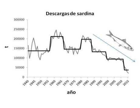 Gráfica de la situación de la sardina en los últimos 50 años